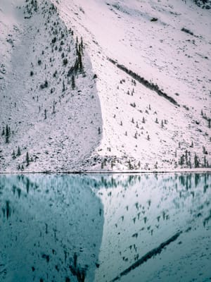 Powdered Reflections